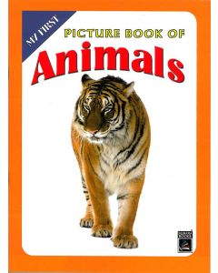 Animals My First Picture Book