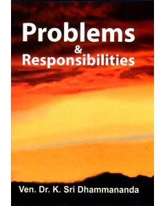 Problems & Responsibilities