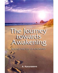 The Journey towards Awakening Beyond the Veil of Ignorance