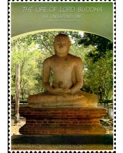 The Life of Buddha The Enlightened One
