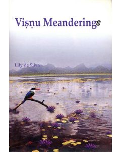 Visnu Meanderings