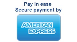 Pay in ease secure payment by american express